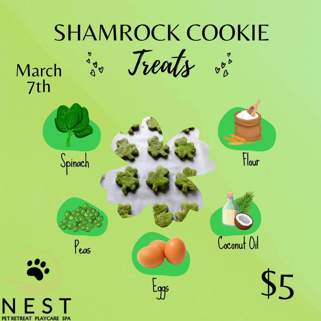Shamrock Cookie Flyer