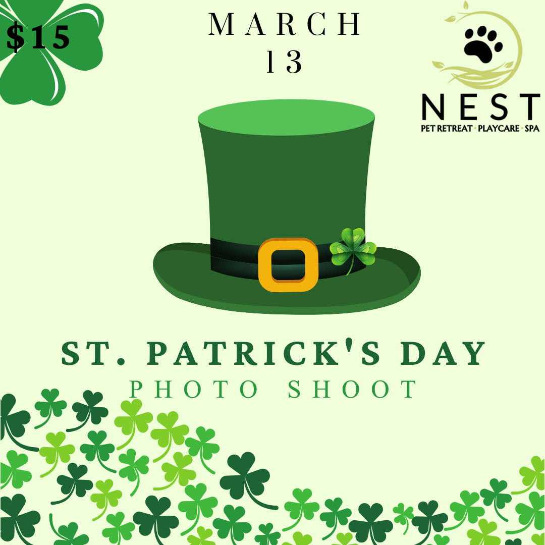 St. Patricks day photo shoot flyer