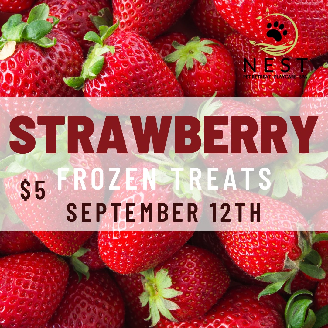 Strawberry Treats at NEST