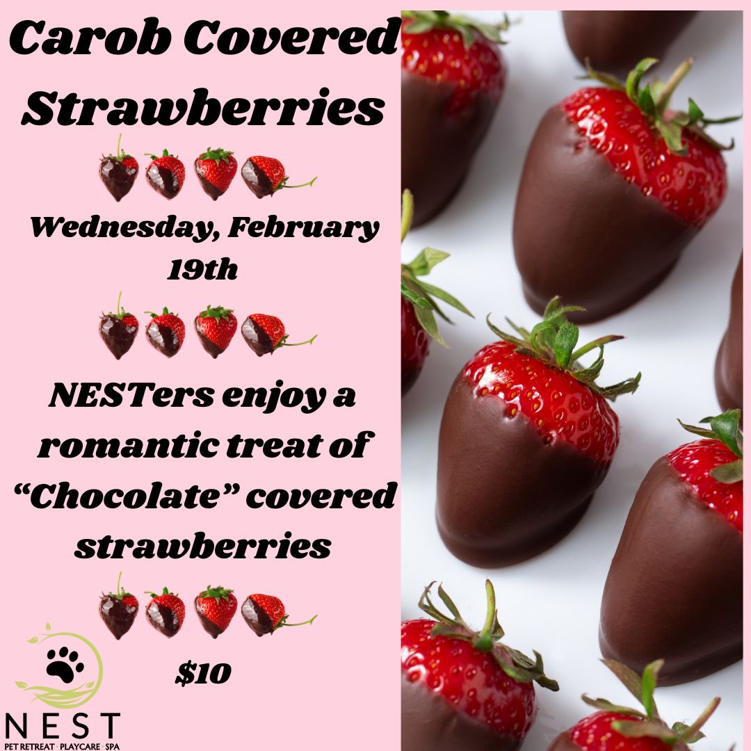 Caron strawberries
