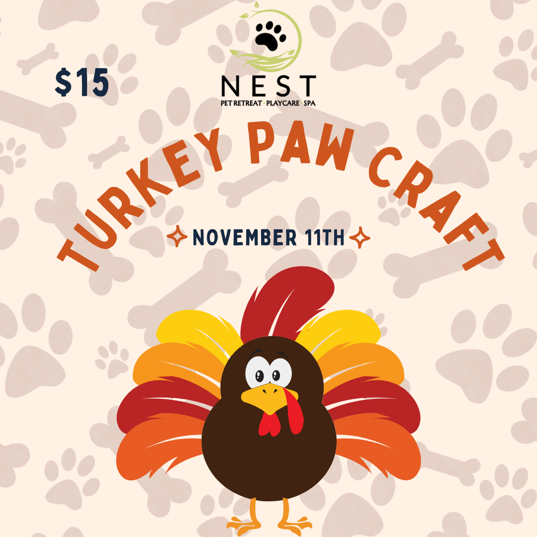 Turkey Paw Craft