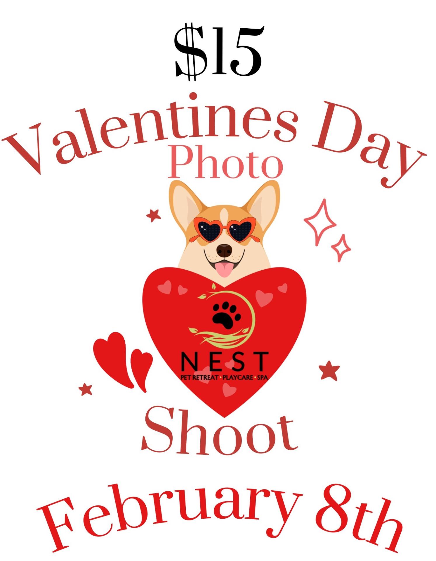 Photo Shoot