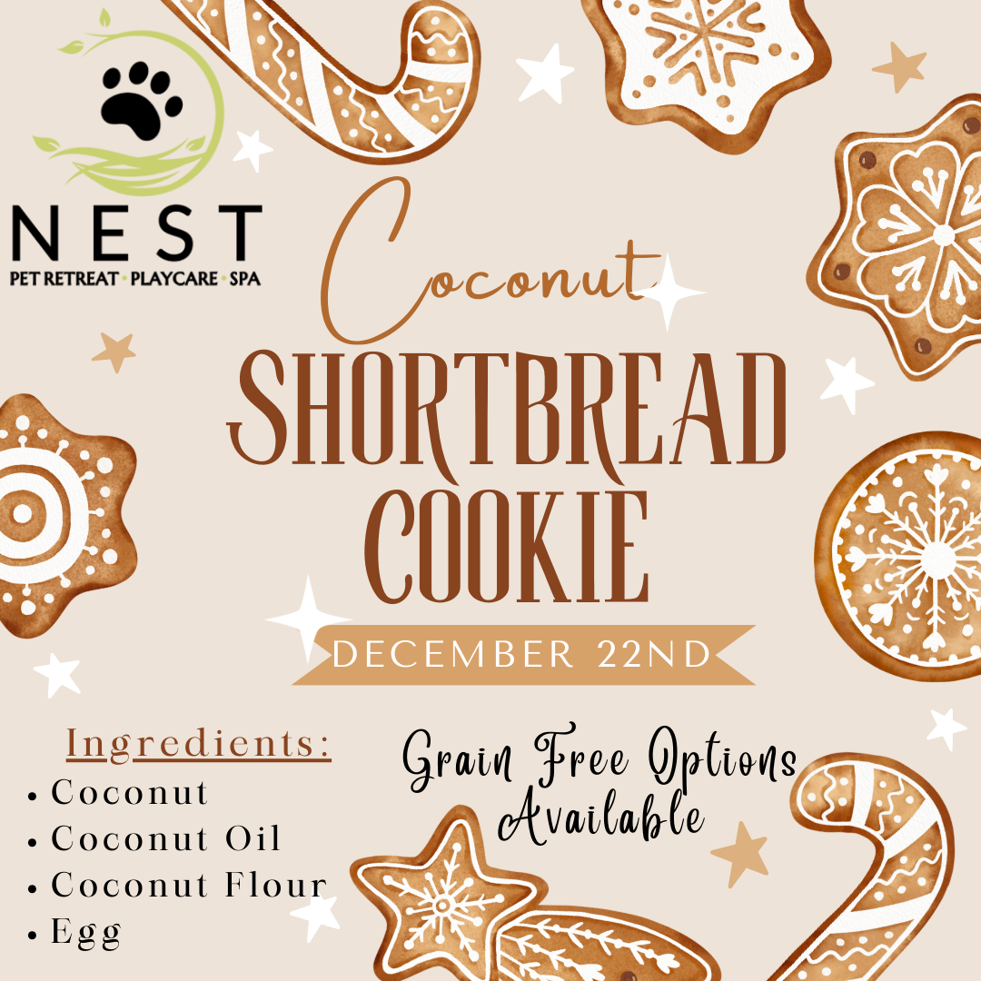 Shortbread Cookies