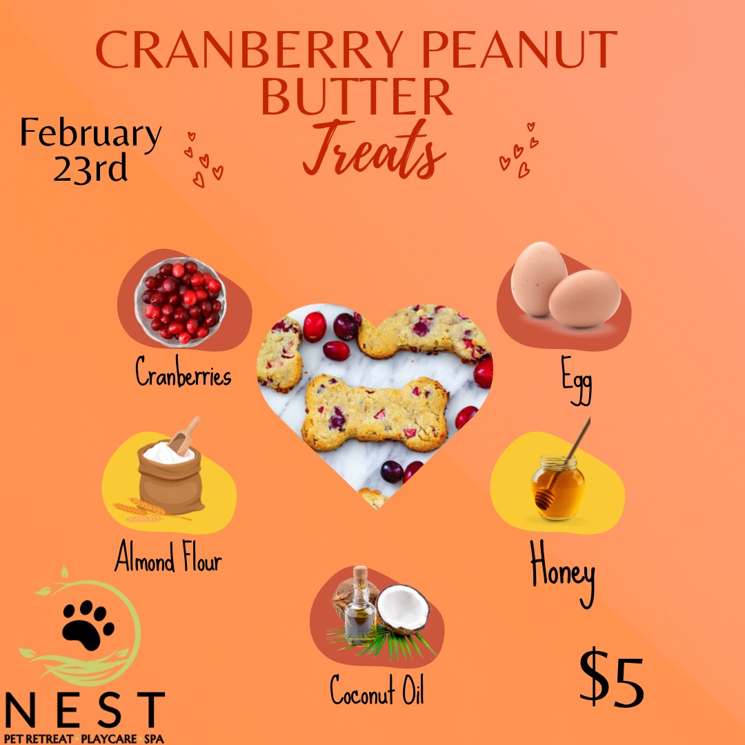 Cranberry Peanut Butter Treats
