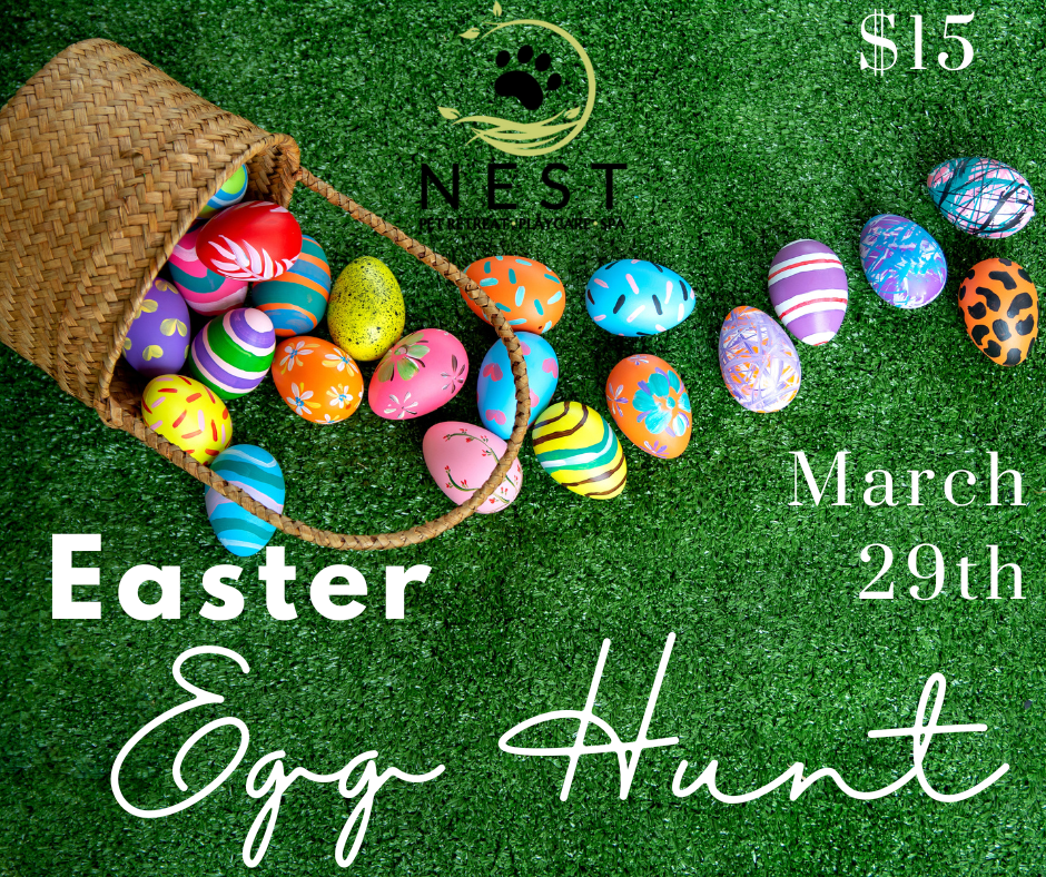 Easter Egg Hunt