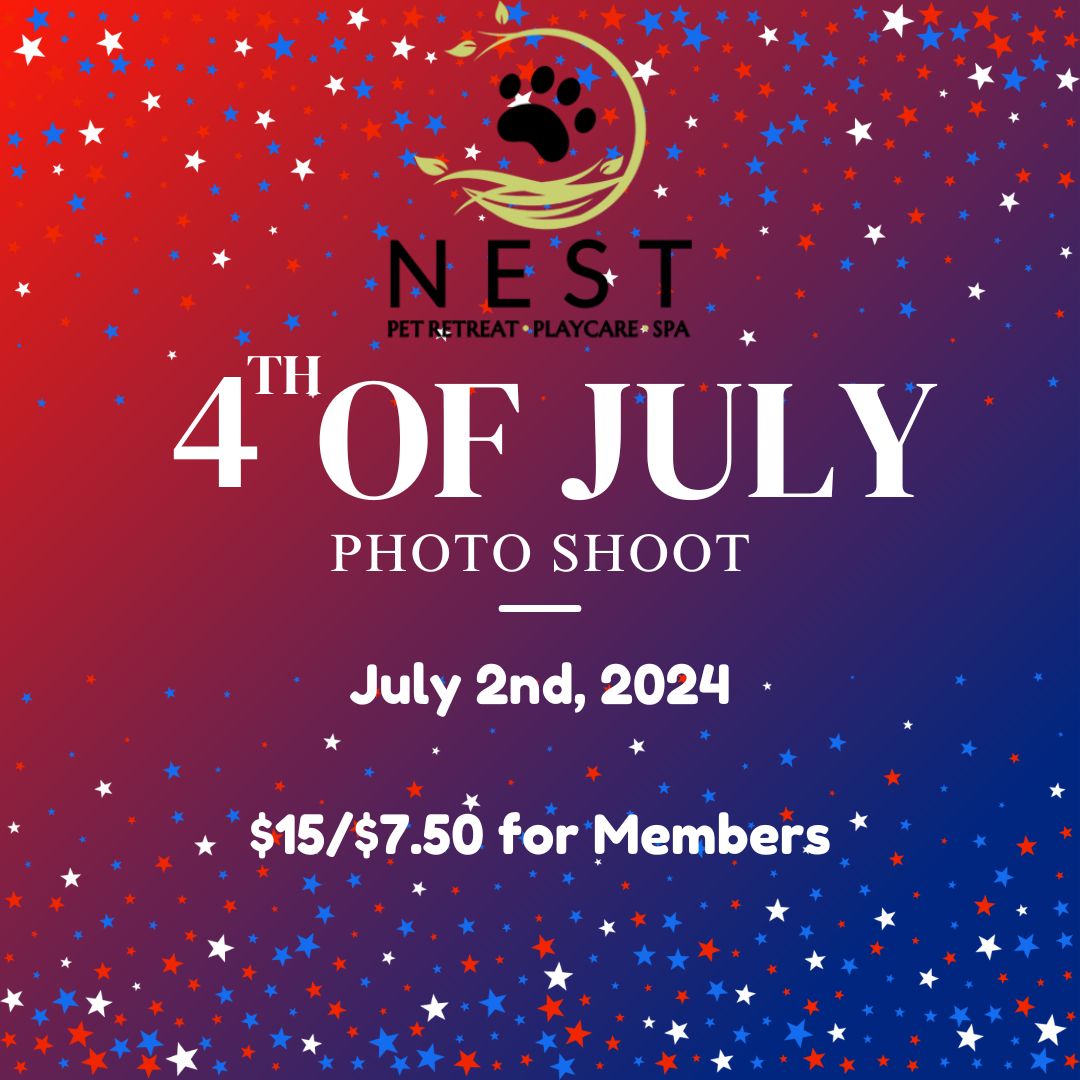 Fourth of July Photo Shoot at NEST Pet Retreat