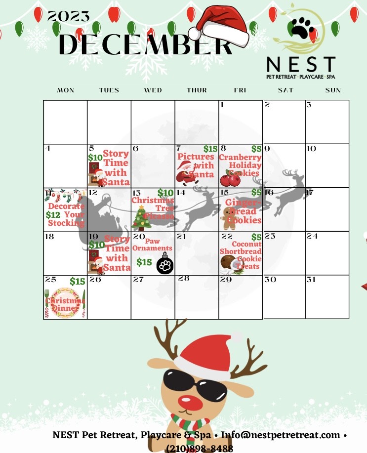 December NEST Calendar