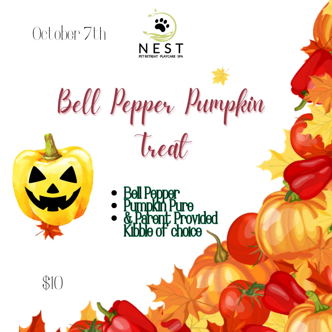 Bell Pepper Pumpkin Treat