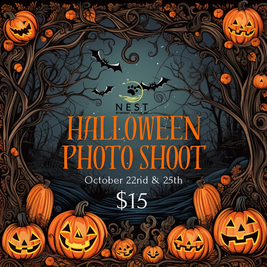Halloween Photo Shoot