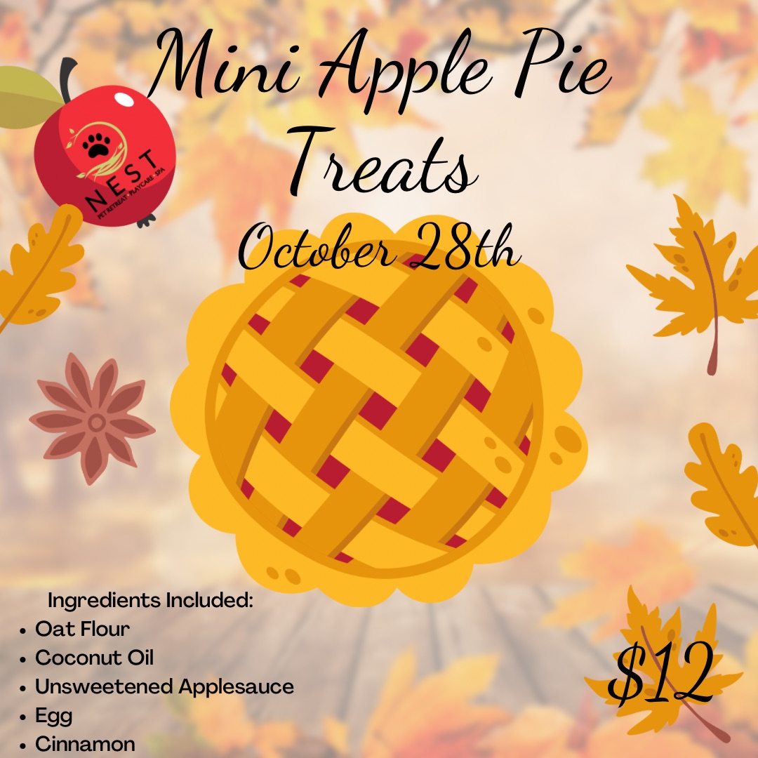 Mini Cinnamon Apple Pie