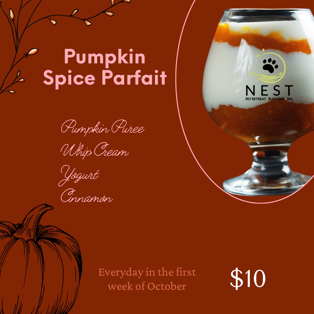 Pumpkin spice parfait at nest