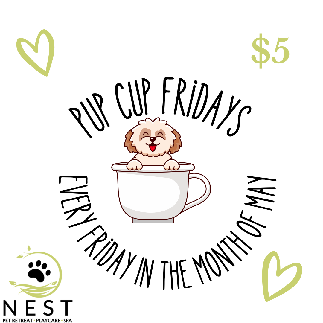 Pup Cup May Flyer at Nest