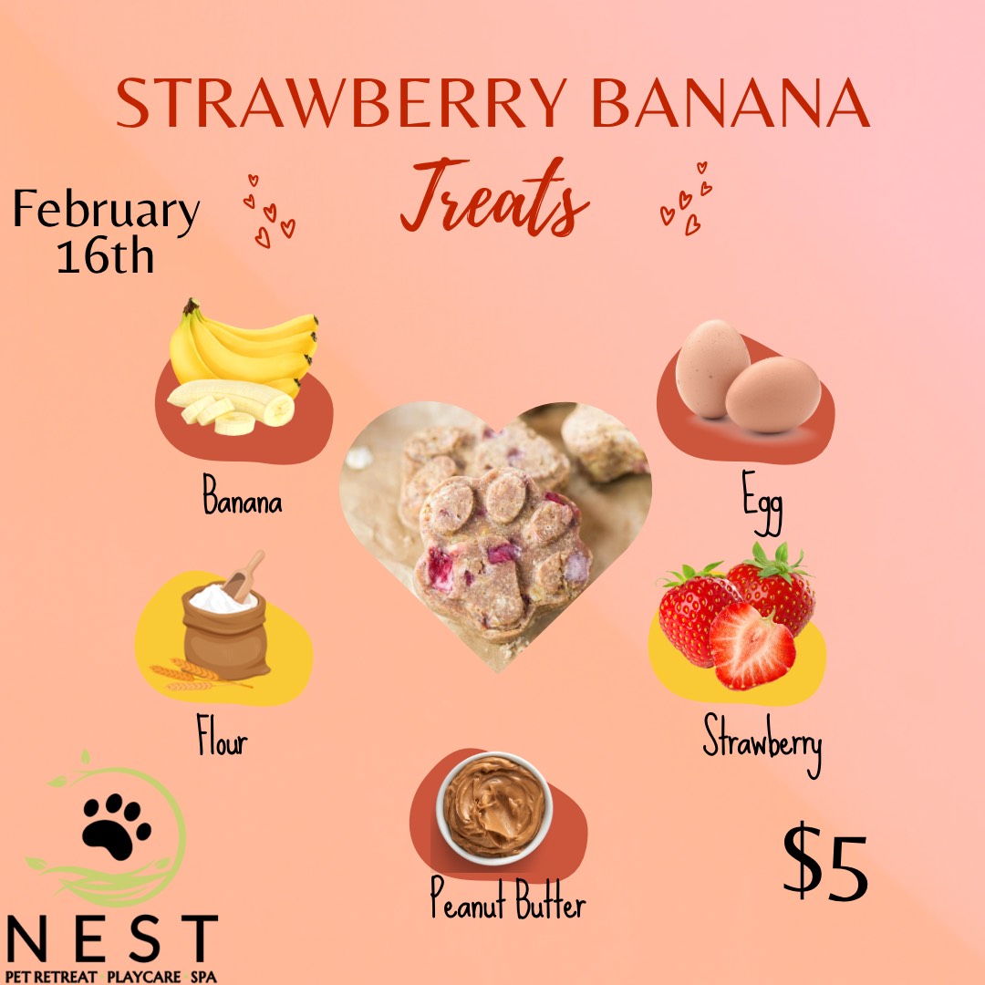 Strawberry Banana Treats