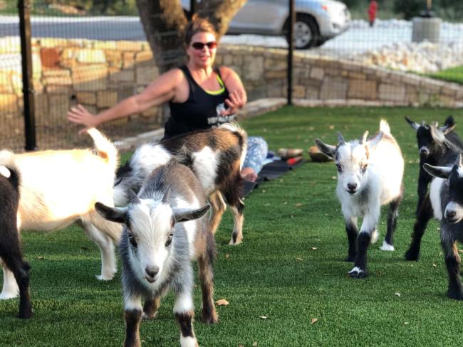 Goat Yoga Event at NEST