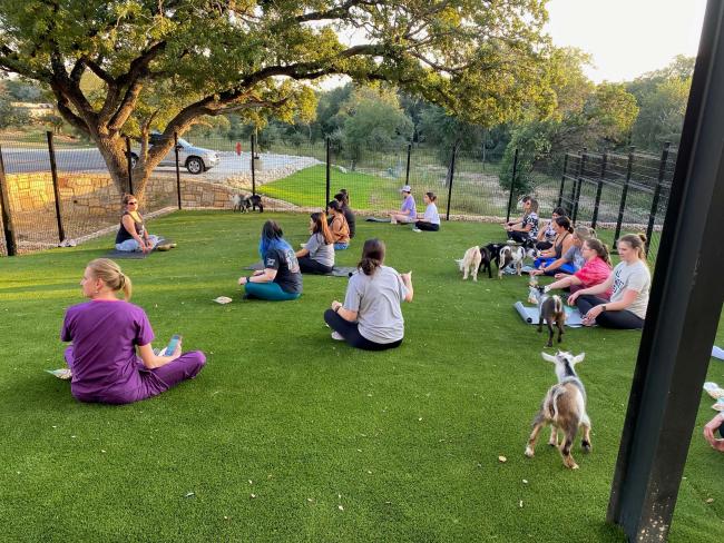 Goat Yoga Event at NEST