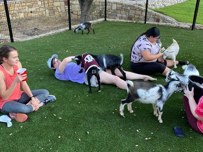 Goat Yoga Event at NEST