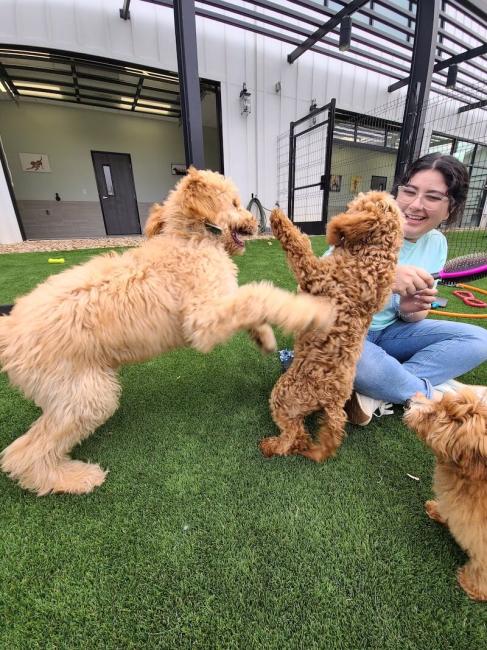 NEST Puppy Camp