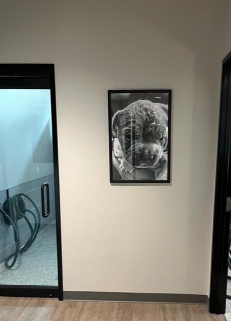 Heritage Oaks Art