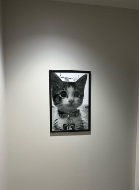 Heritage Oaks Art