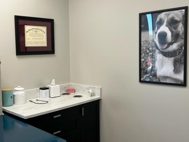 Heritage Oaks Exam Room