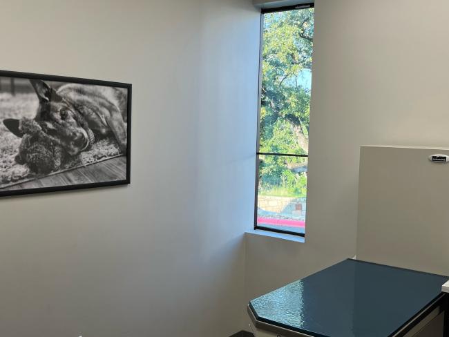 Heritage Oaks Exam Room