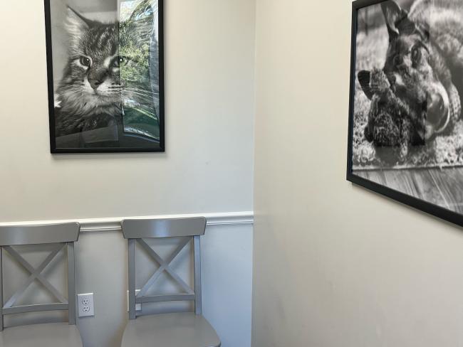 Heritage Oaks Exam Room